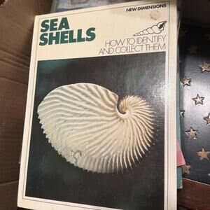 Sea Shells How to Identify and Collect Them Hardcover Golden Press‎ 1972 1st